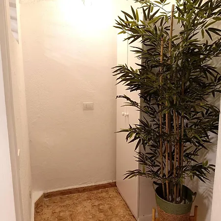 Daire Bellavista Basement